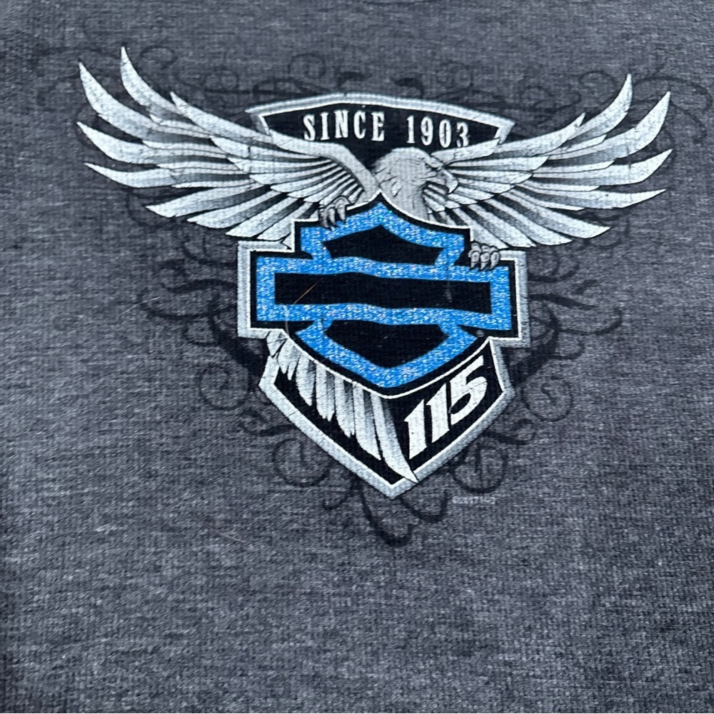 Harley-Davidson Charcoal Gray Long Sleeve Tee with Blue & Silver Logo - Picture 3 of 7